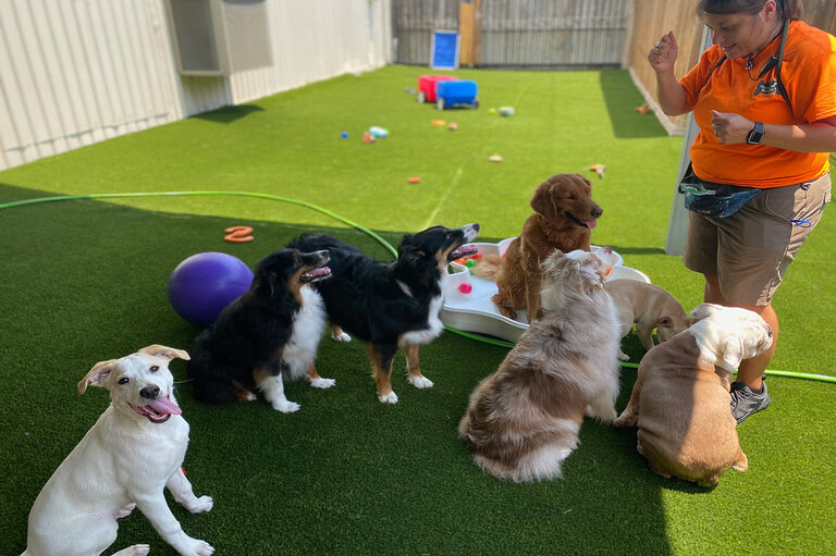 Enrichment visits