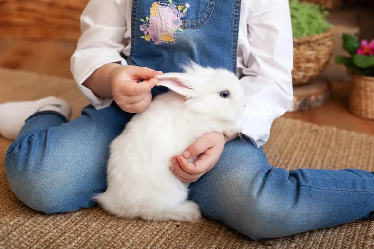 Other Pets
